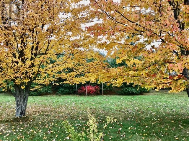 Property 46 of 46 of 2450 Church Street