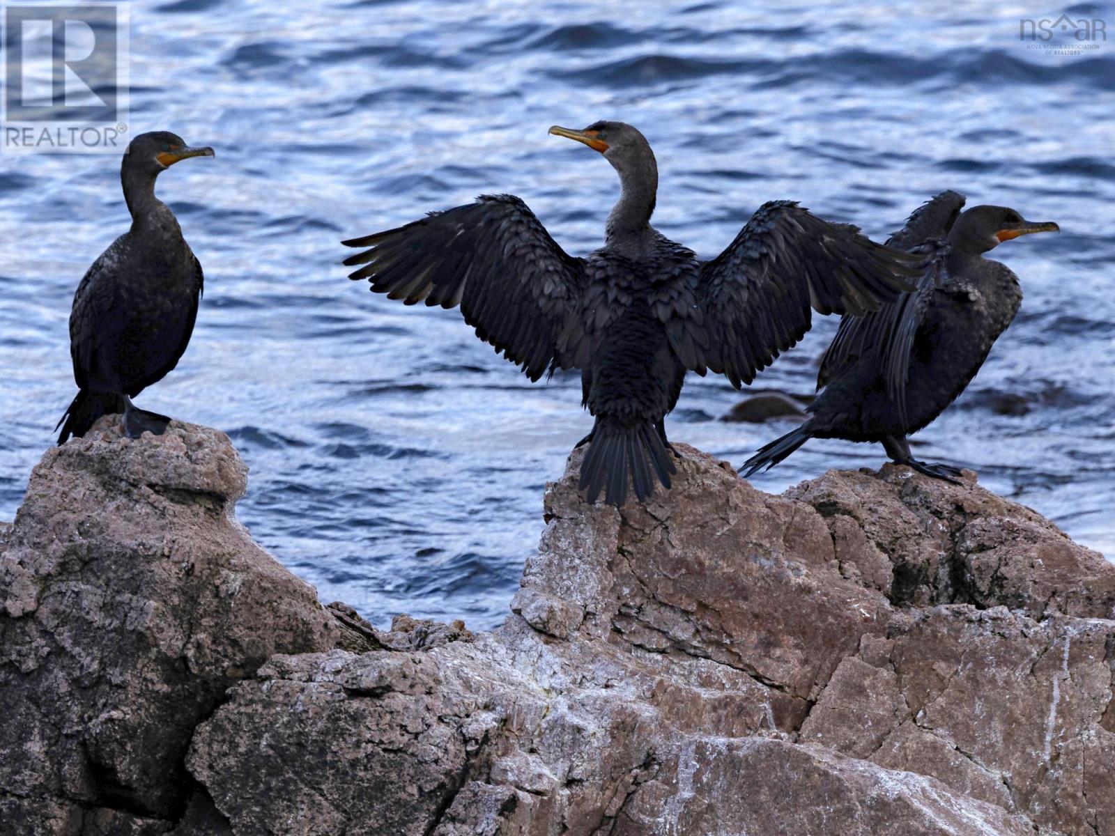 Property 38 of 44 of 31 Osprey Lane