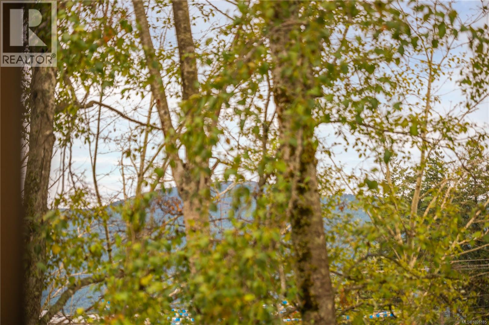 4193 CORUNNA AVE - 36