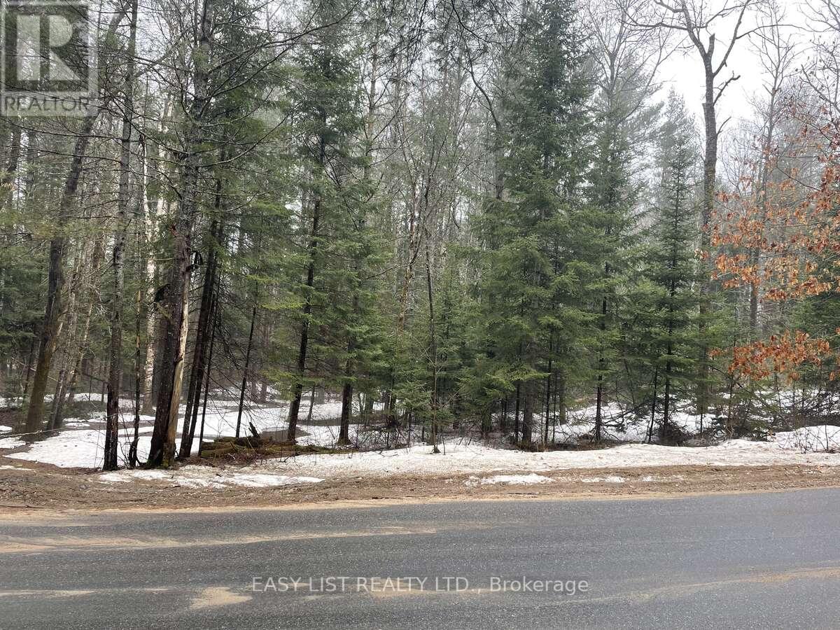 0 DWIGHT BEACH ROAD - Photo 2 of 4, Lake of Bays (Franklin), Ontario