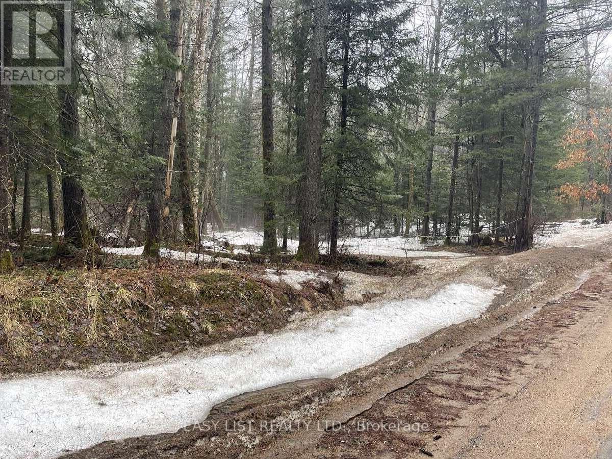 0 DWIGHT BEACH ROAD - Photo 3 of 4, Lake of Bays (Franklin), Ontario