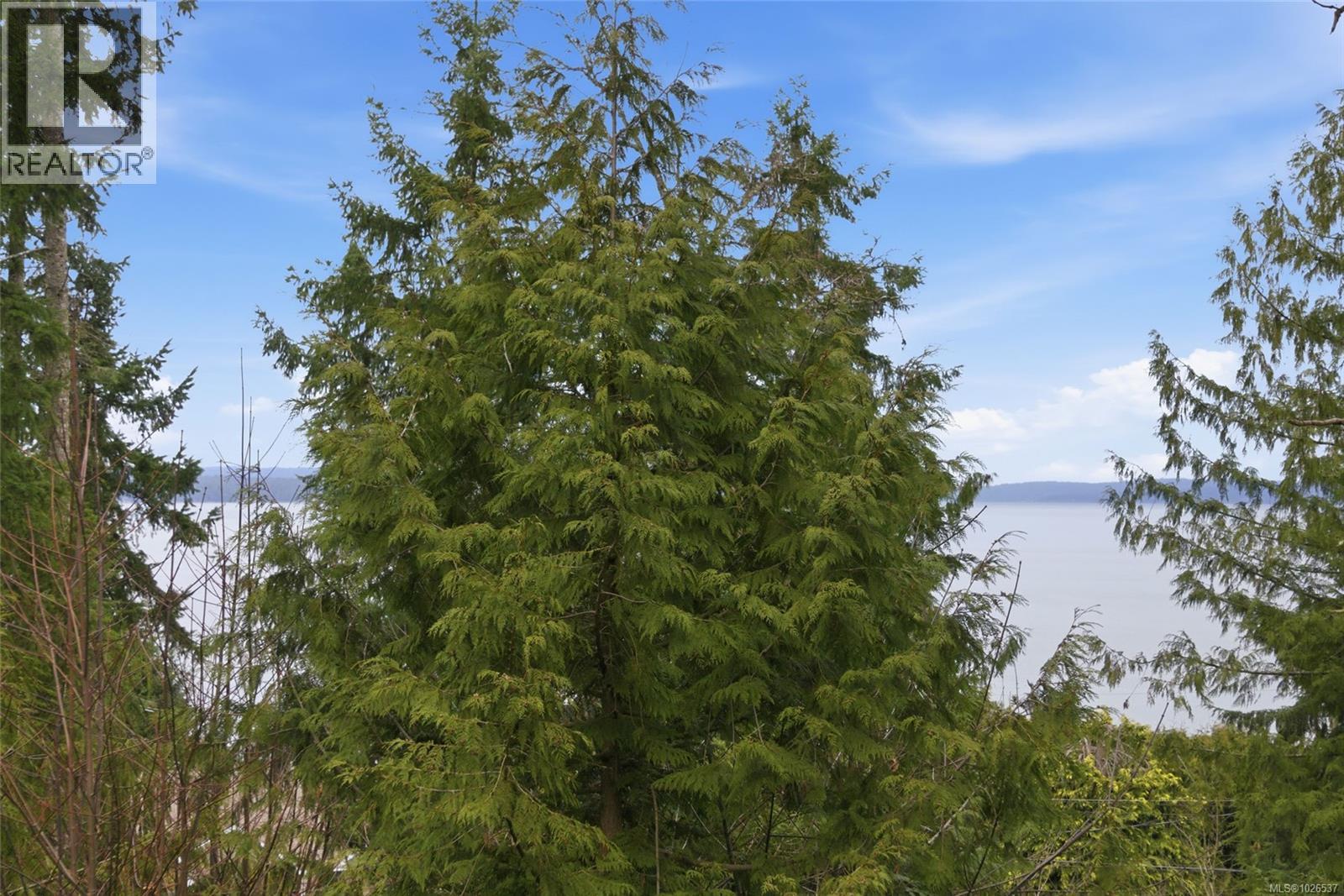 3589 CLIFCOE RD - 35