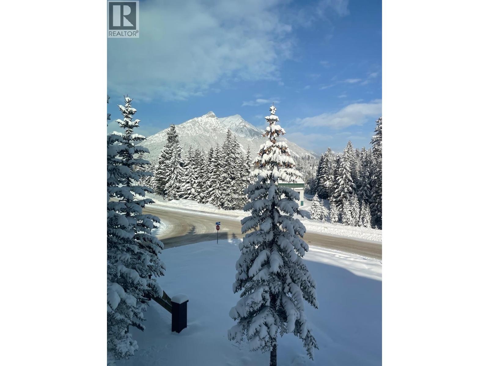 10 Cariboo Drive Unit# 311, Elkford