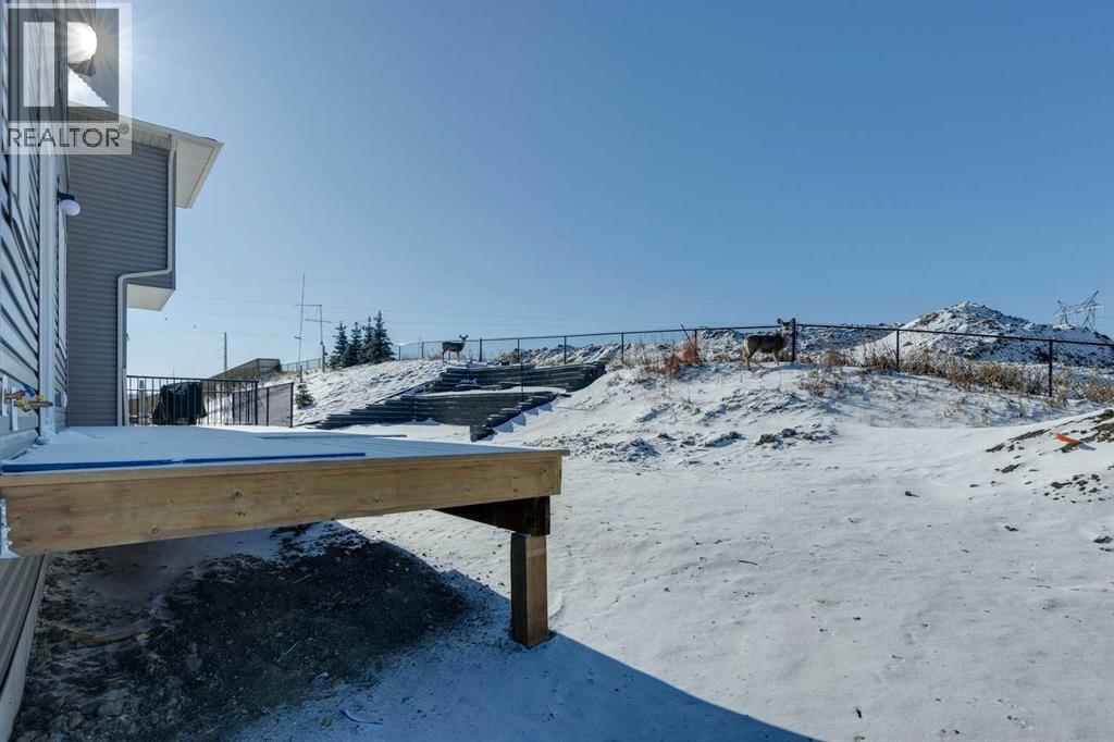 12 Willow Park Point, Cochrane