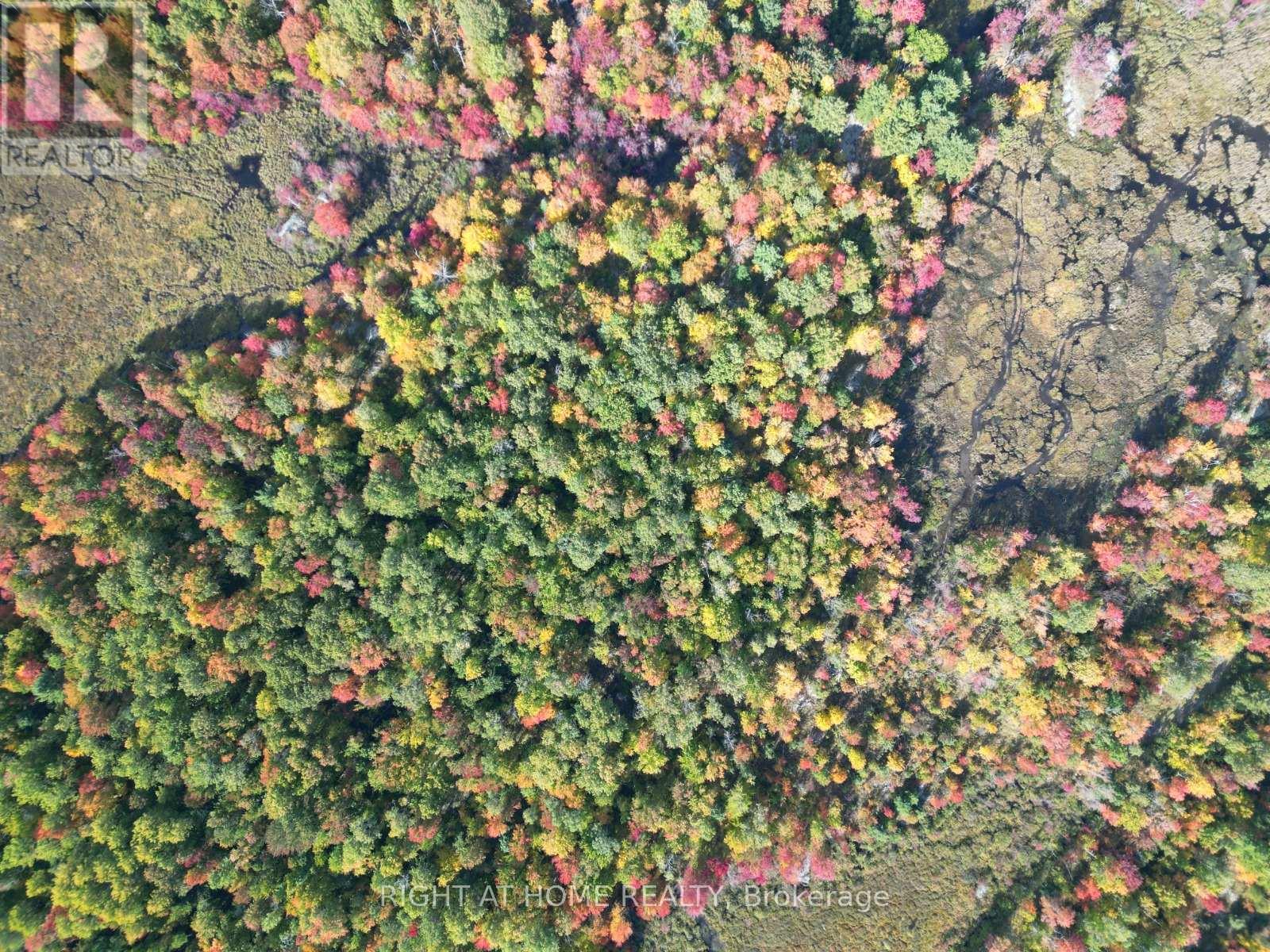 1115 FLINTON ROAD - Photo 2 of 11, Tweed (Elzevir (Twp)), Ontario