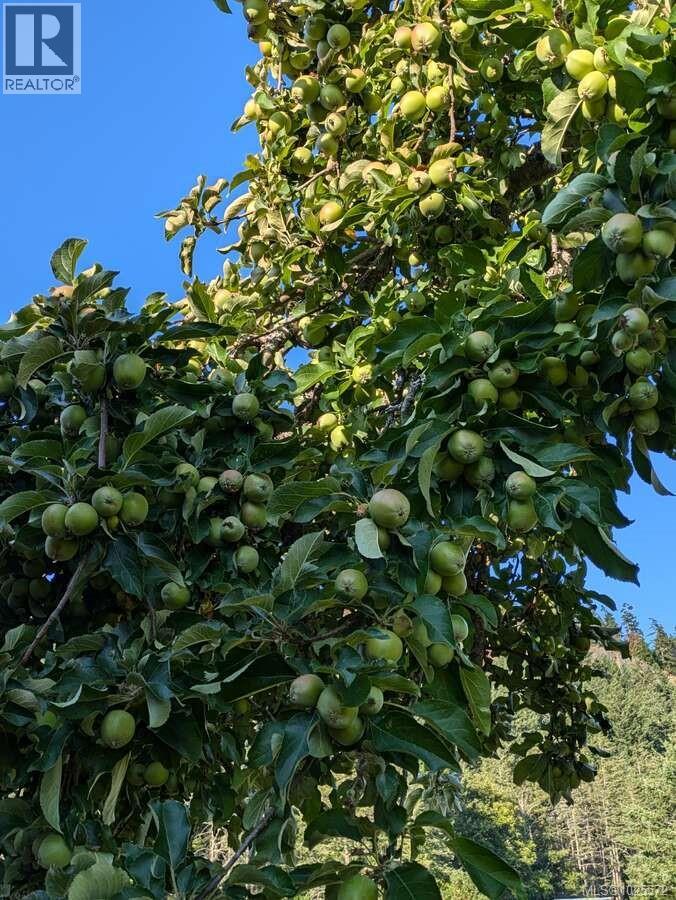 300 WOOD DALE DR - 51