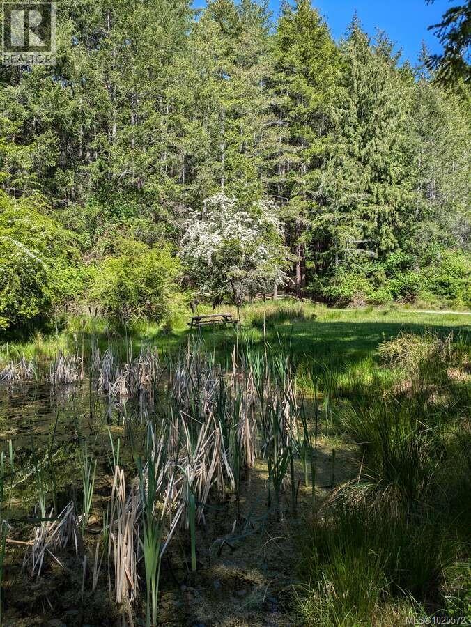 300 Wood Dale Dr - 37