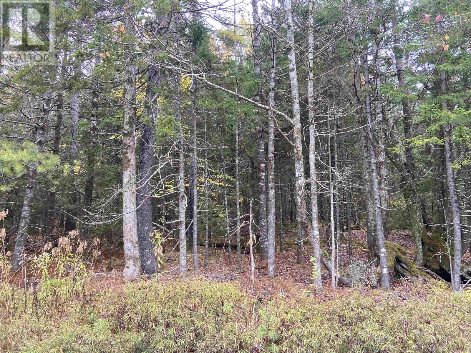 Property 2 of 2 of Lot 49 Sunrise Road