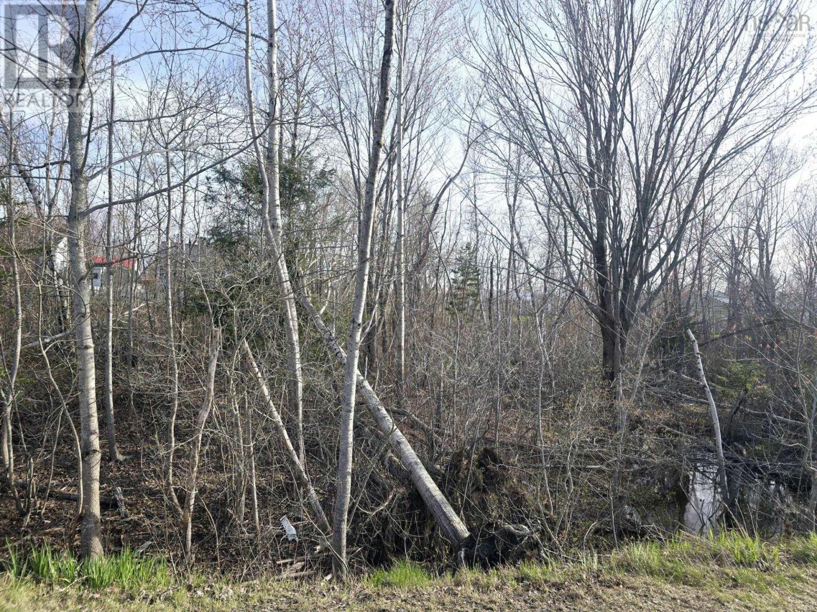 Property 3 of 3 of Lot Belmont Avenue