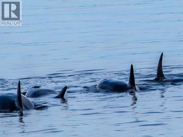 12-3818 JOYCE AVE, Powell River