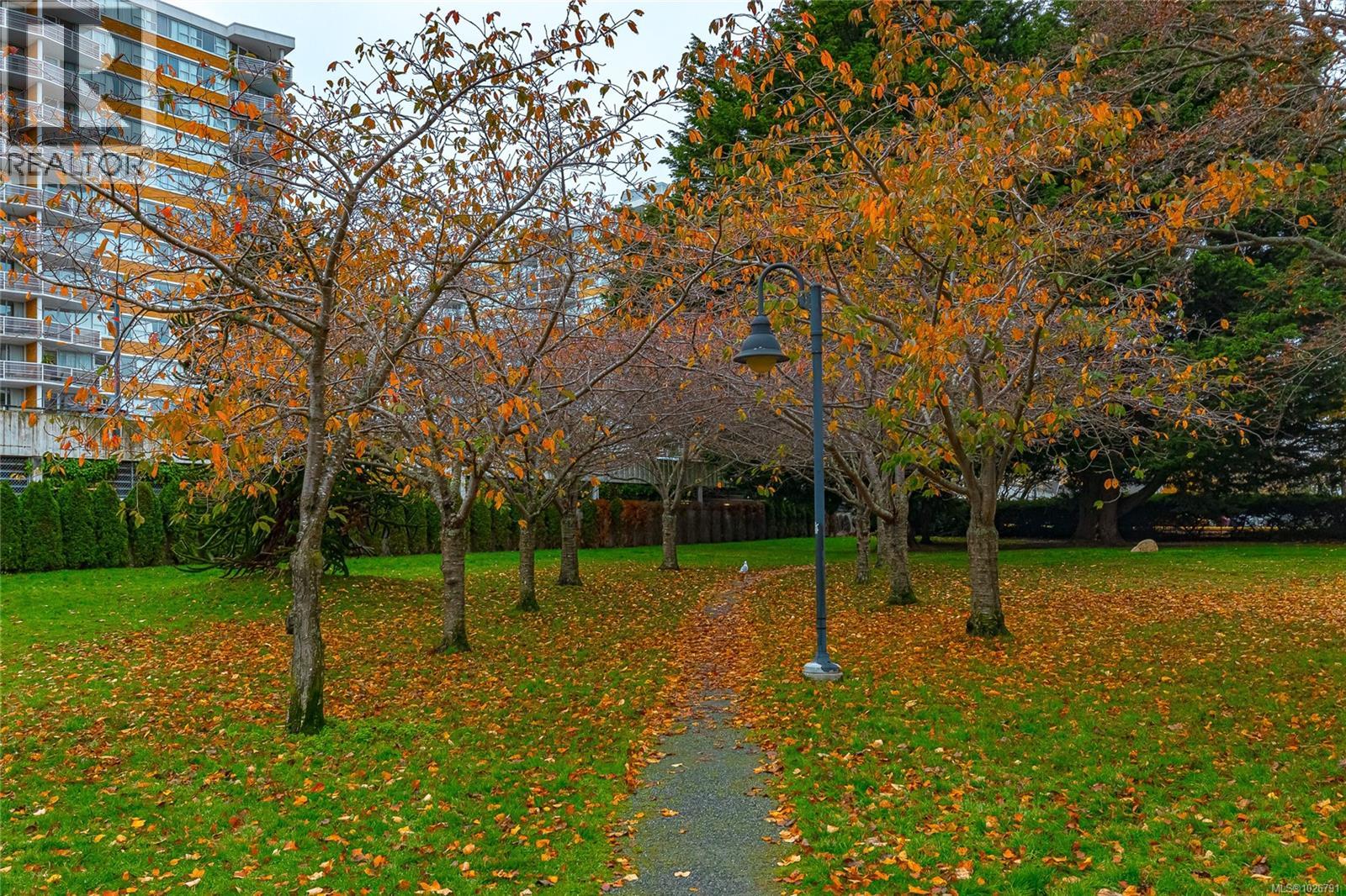  126 Ladysmith Street, Victoria