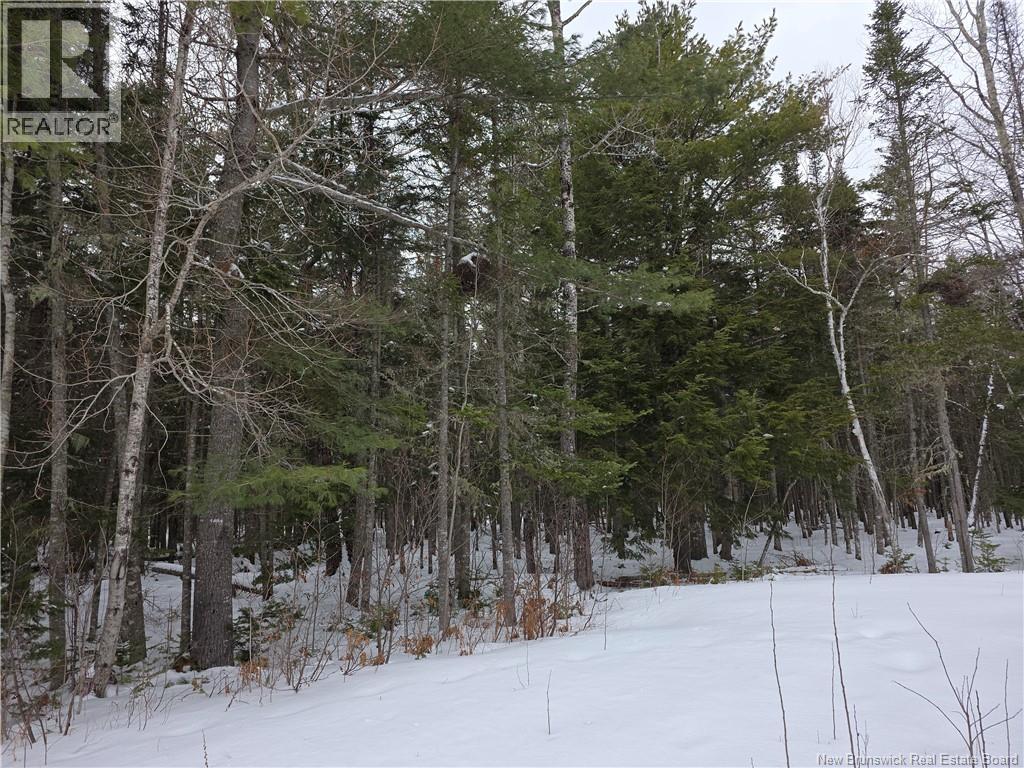 534 Cormier Village Bye Road - Image 32