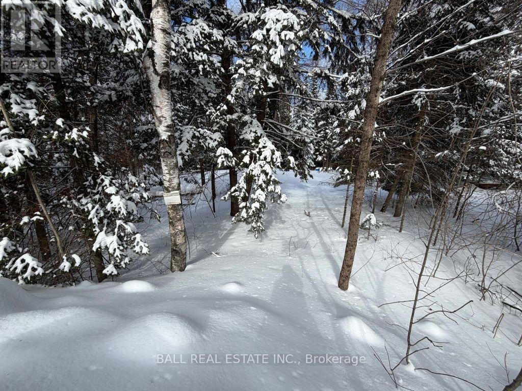 0 QUARRY ROAD - Photo 2 of 8, Bancroft (Dungannon Ward), Ontario