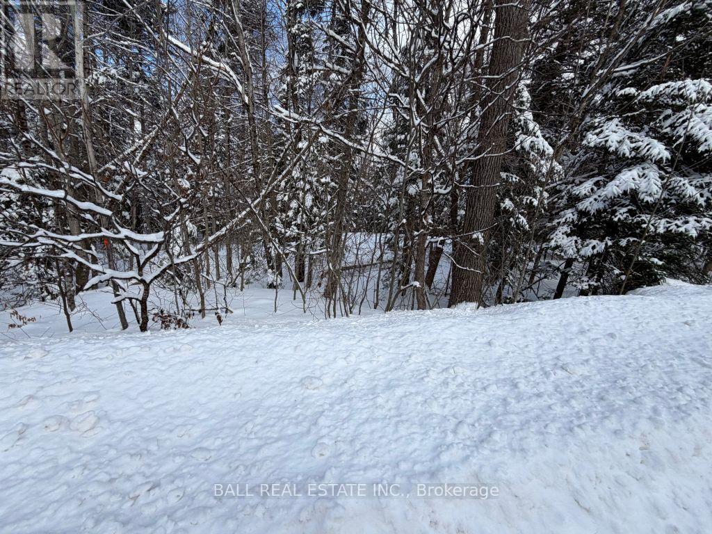 0 QUARRY ROAD - Photo 4 of 8, Bancroft (Dungannon Ward), Ontario