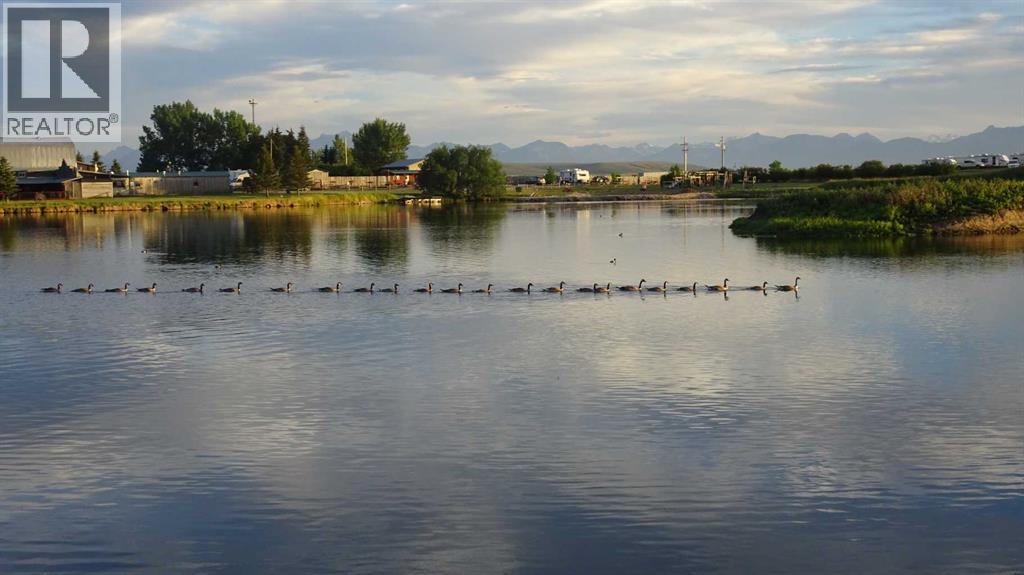 
          11 Mountain Vista Drive
            <br/>
            <span>Hill Spring</span>
            , 
            <span>AB</span>
             <span>T0K1E0</span>
         - Photo 42