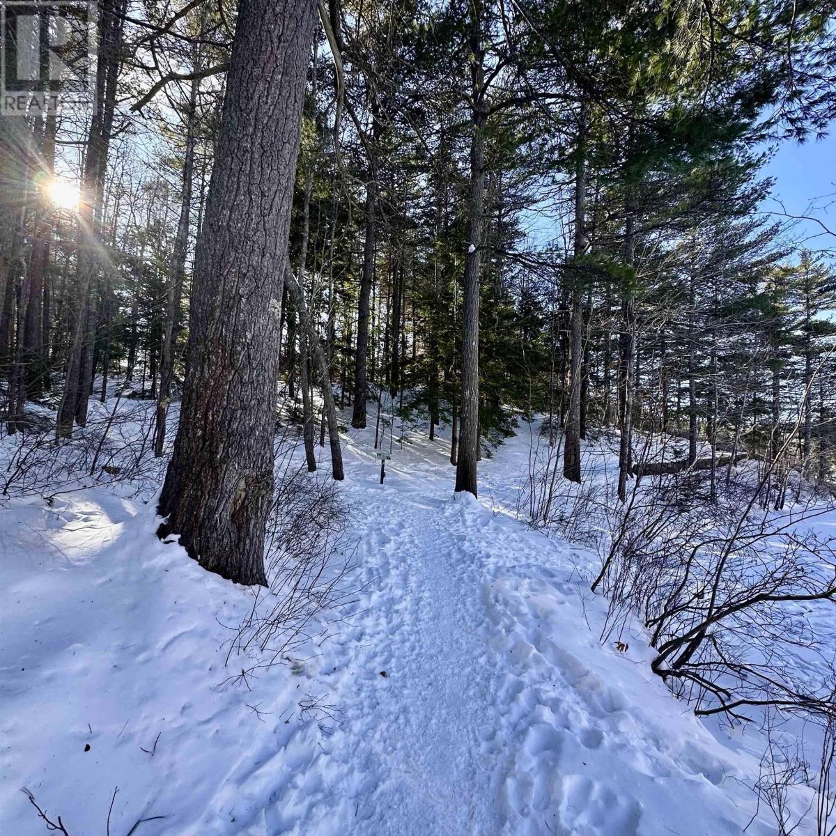 Property 26 of 29 of 213 Alexandra Avenue