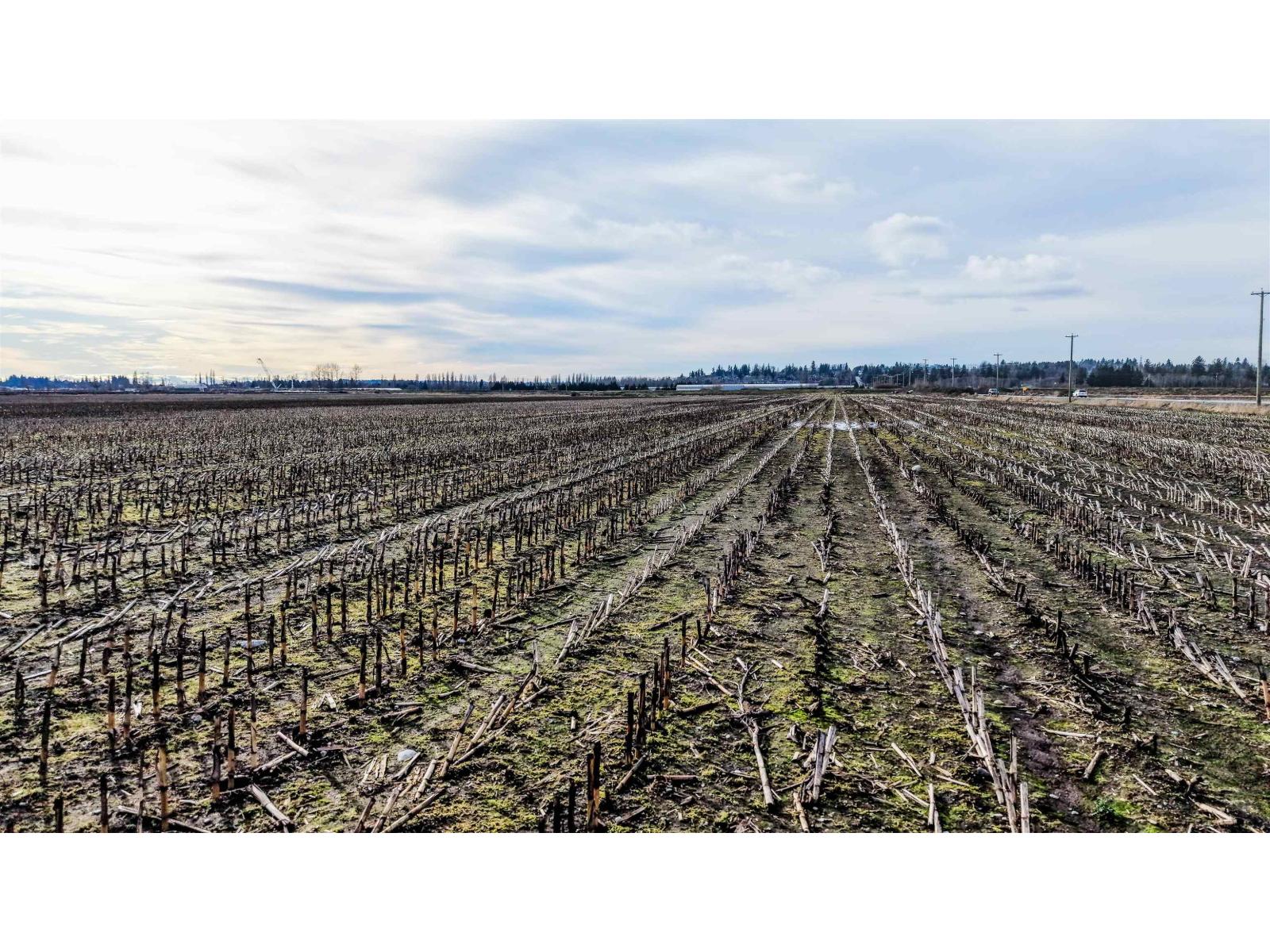 17972 80 AVENUE, Surrey