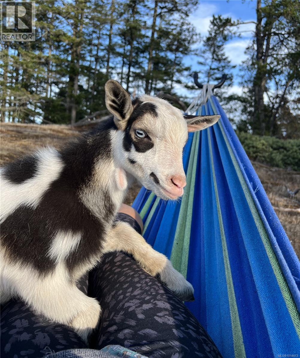  4440 Spellman Place, Metchosin