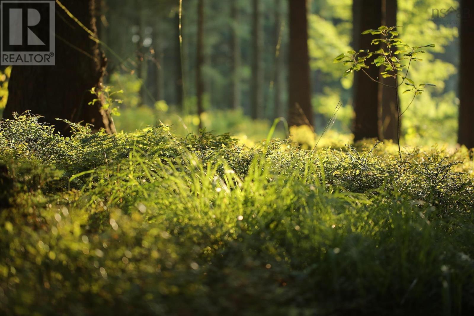 Property 2 of 2 of Lot Old Mountain Road