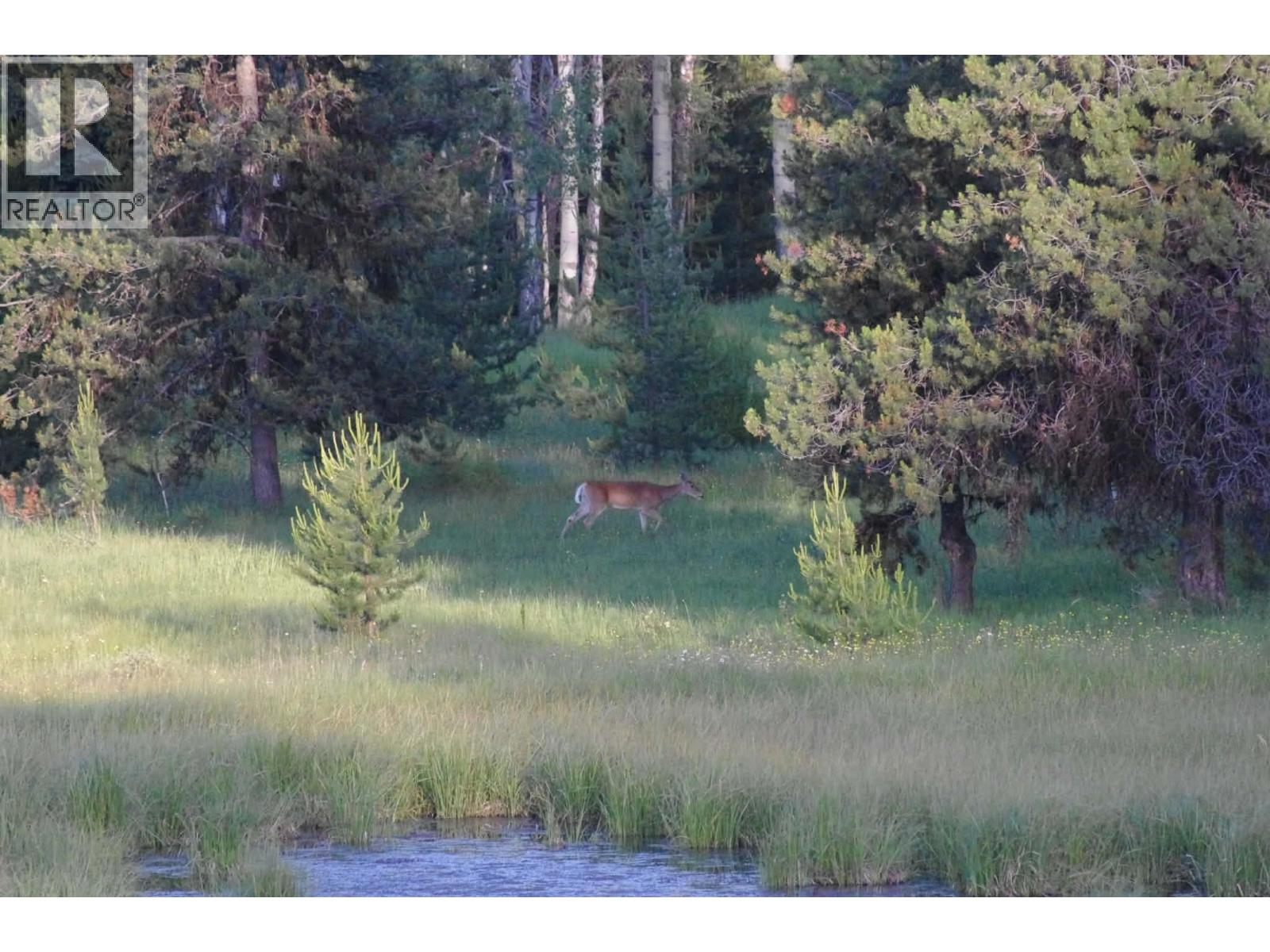 2120 Fish Lake Road - 8