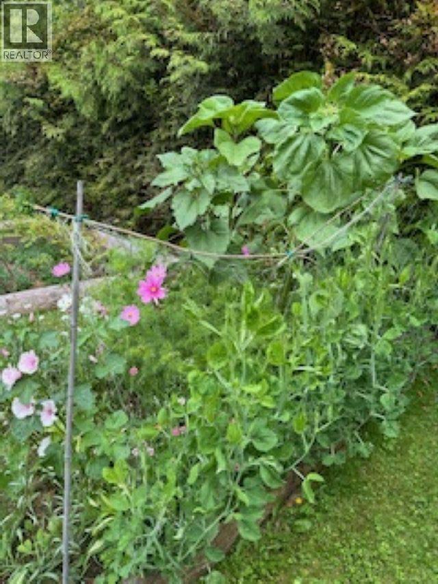 1856 BALSAM CRESCENT - 24