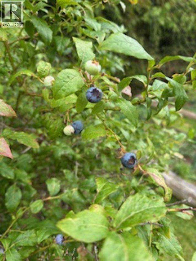 1856 BALSAM CRESCENT - 26