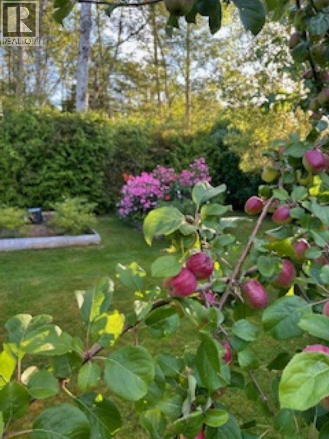 1856 BALSAM CRESCENT - 29