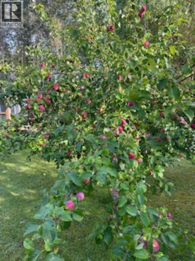 1856 BALSAM CRESCENT - 32