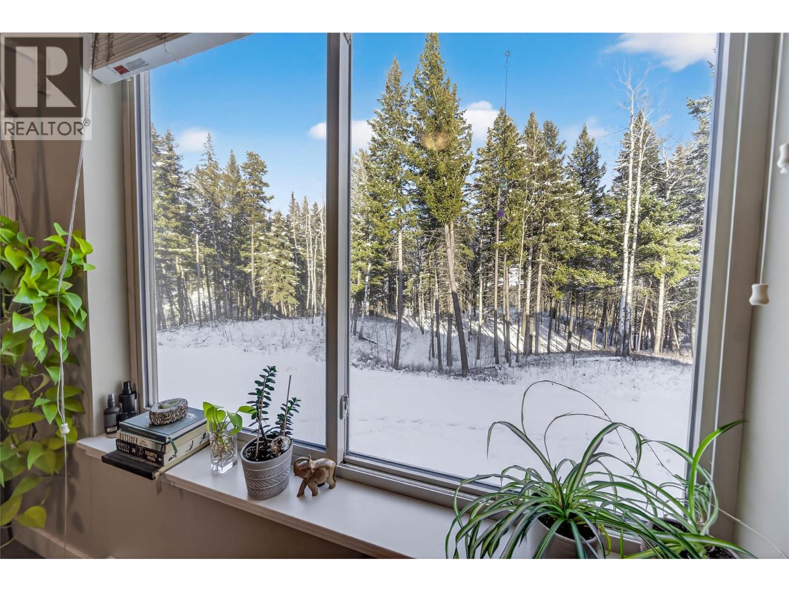 1330 WHITEWOOD Crescent Unit# 205, Sparwood