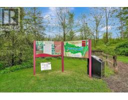 B - 729 Mount Pleasant Road, Brant, ON N0E1K0 Photo 11