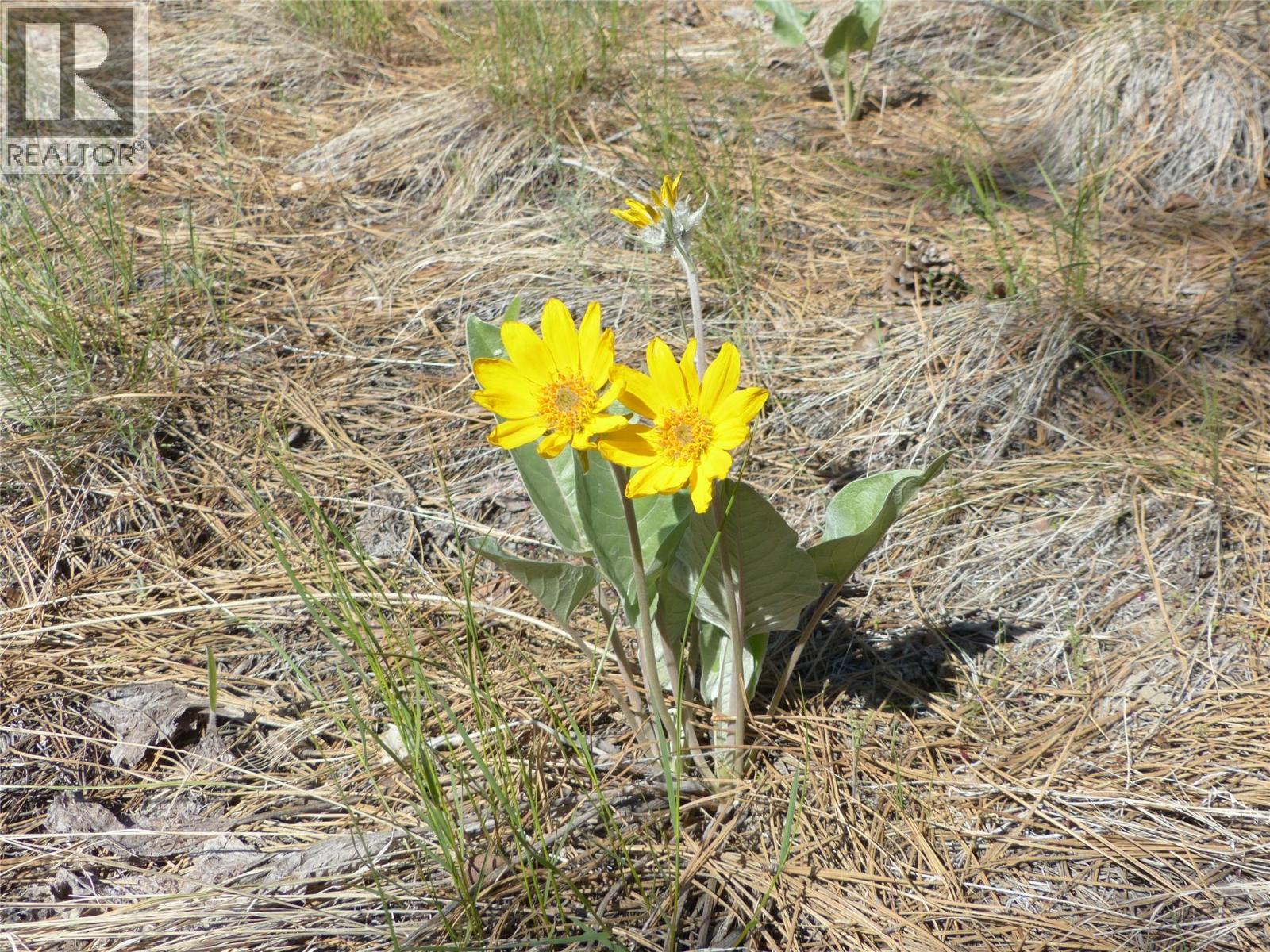  8900 Gilman Road, Summerland