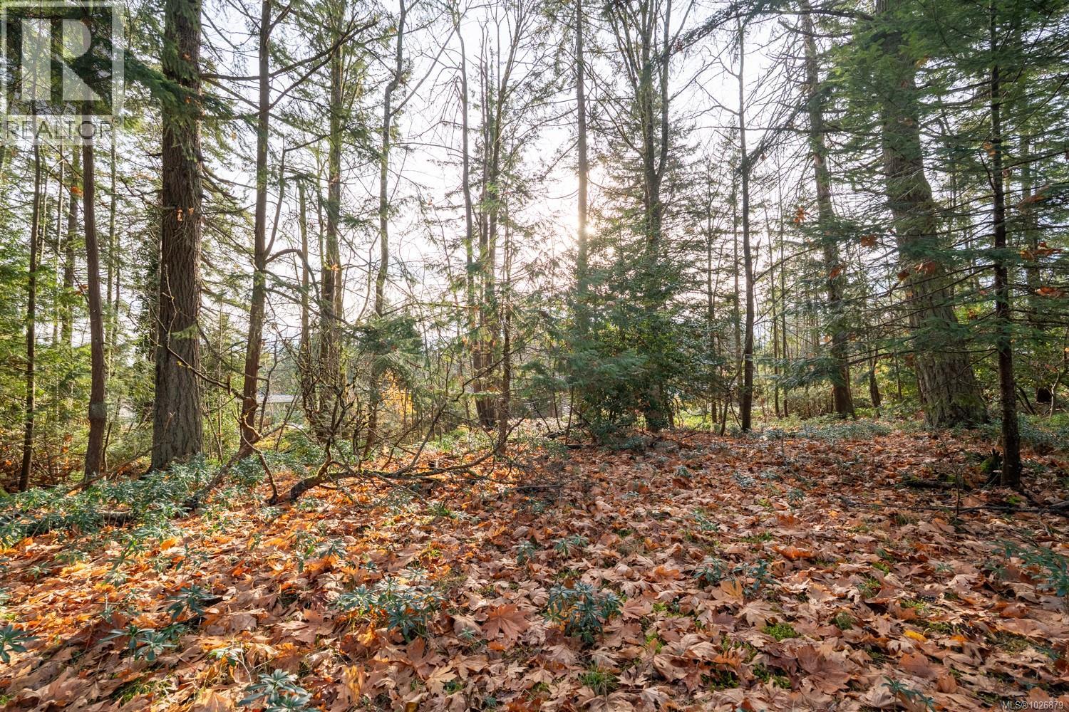 3383 Opal Rd - 17