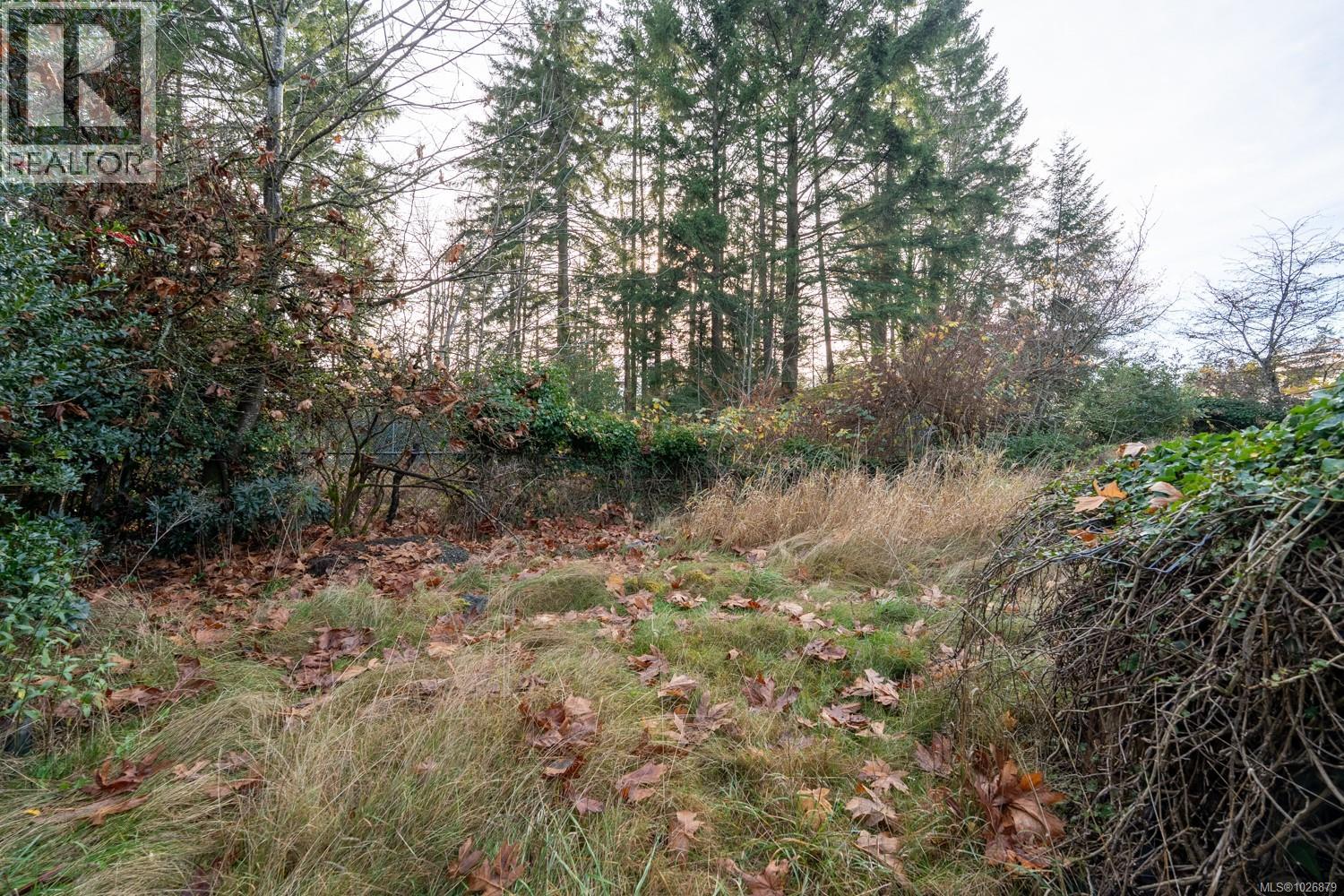 3383 Opal Rd - 18