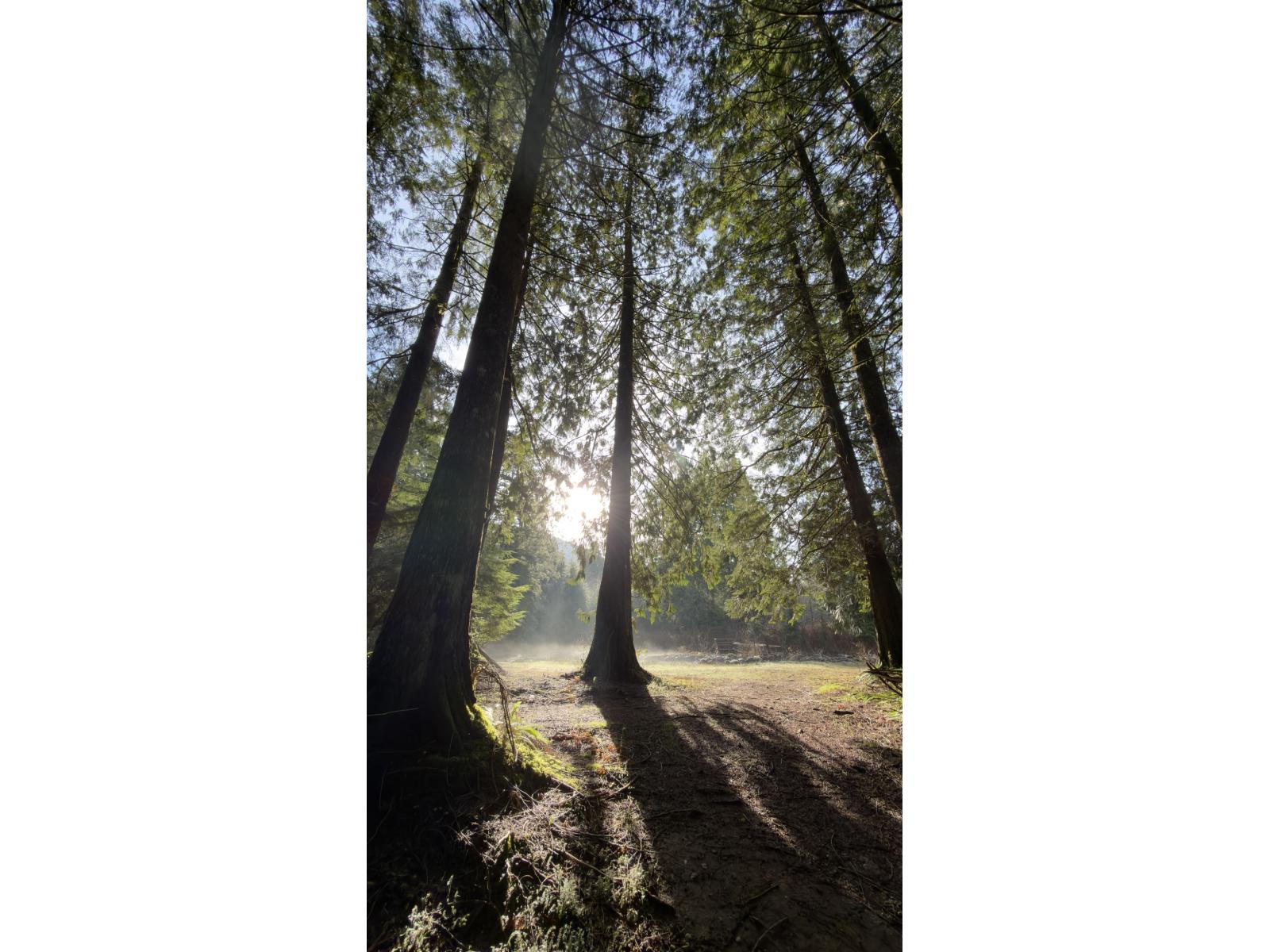 13842 SPRATT ROAD, Mission