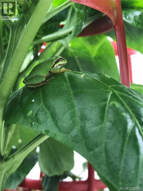 1390 Kurtis Cres, Nanaimo