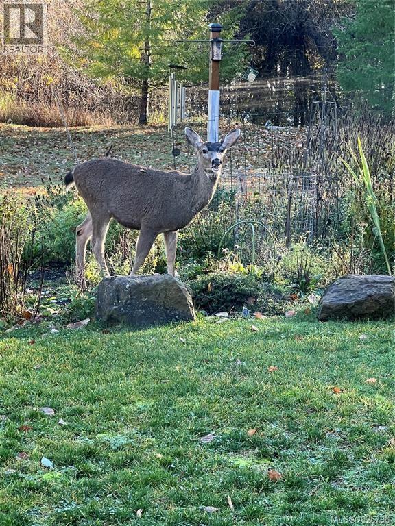 1390 Kurtis Cres, Nanaimo