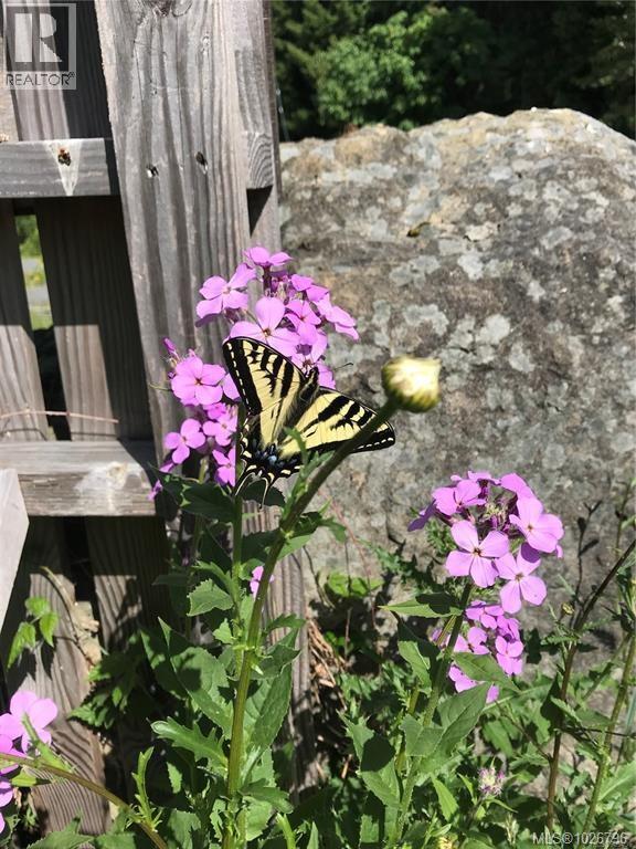 1390 Kurtis Cres, Nanaimo