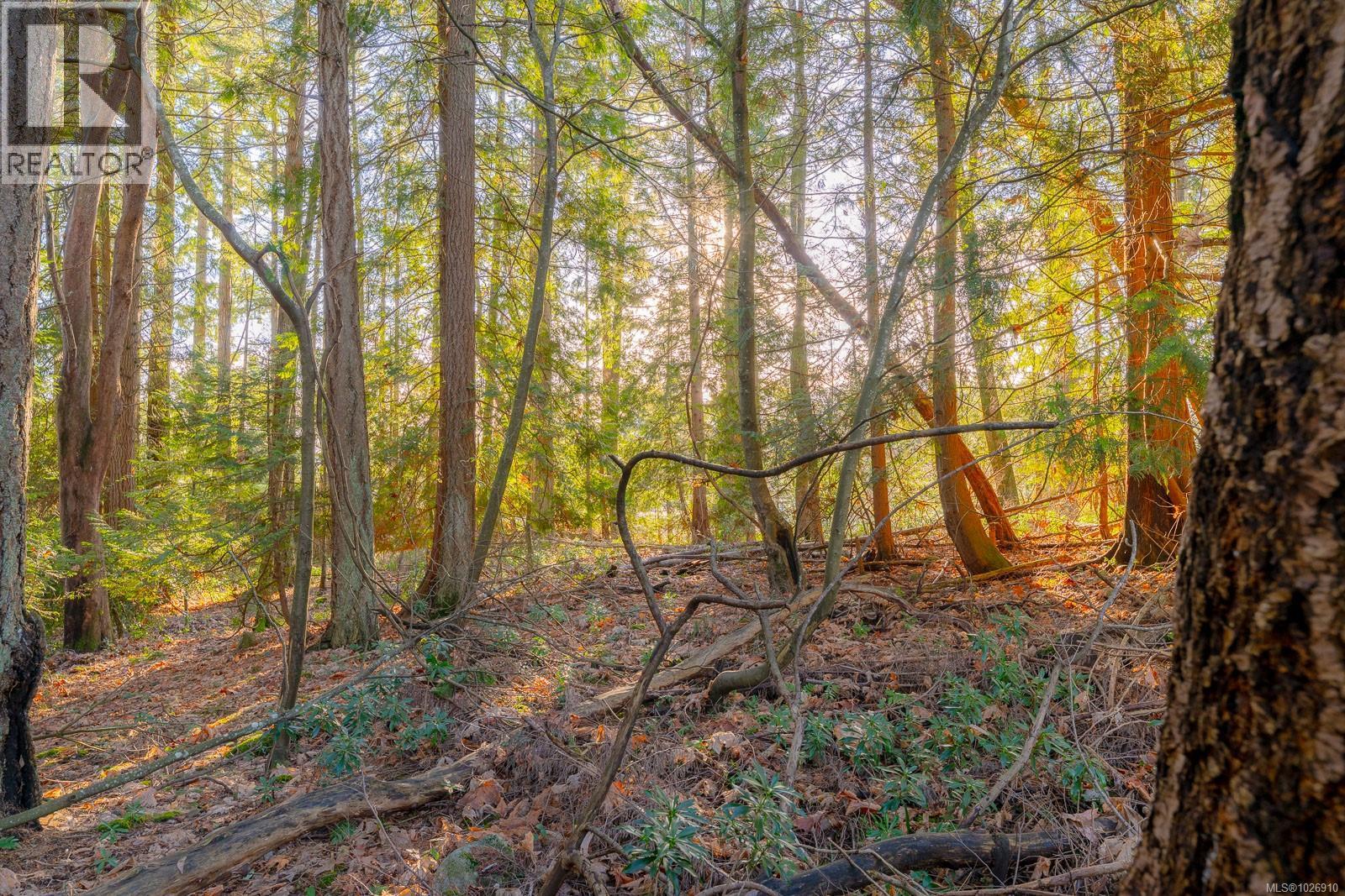 3379 Opal Rd - 36