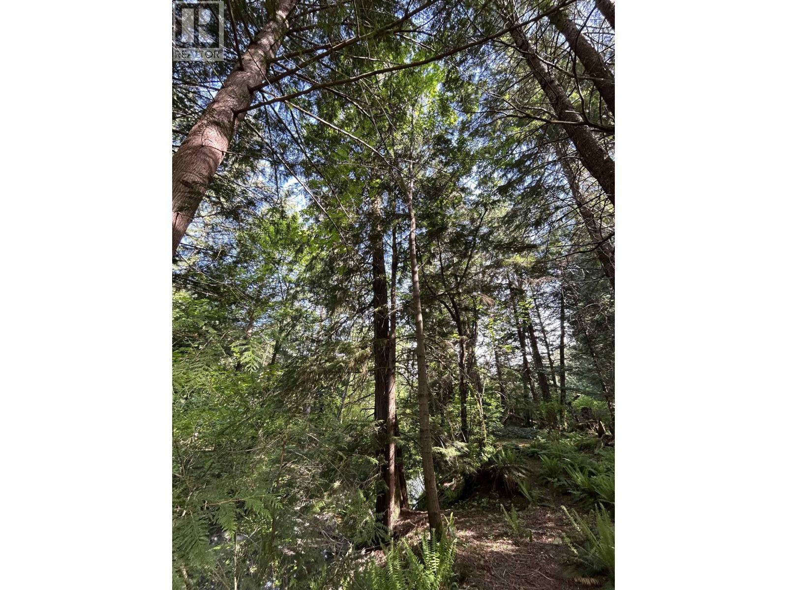 9063 PARADISE VALLEY Road