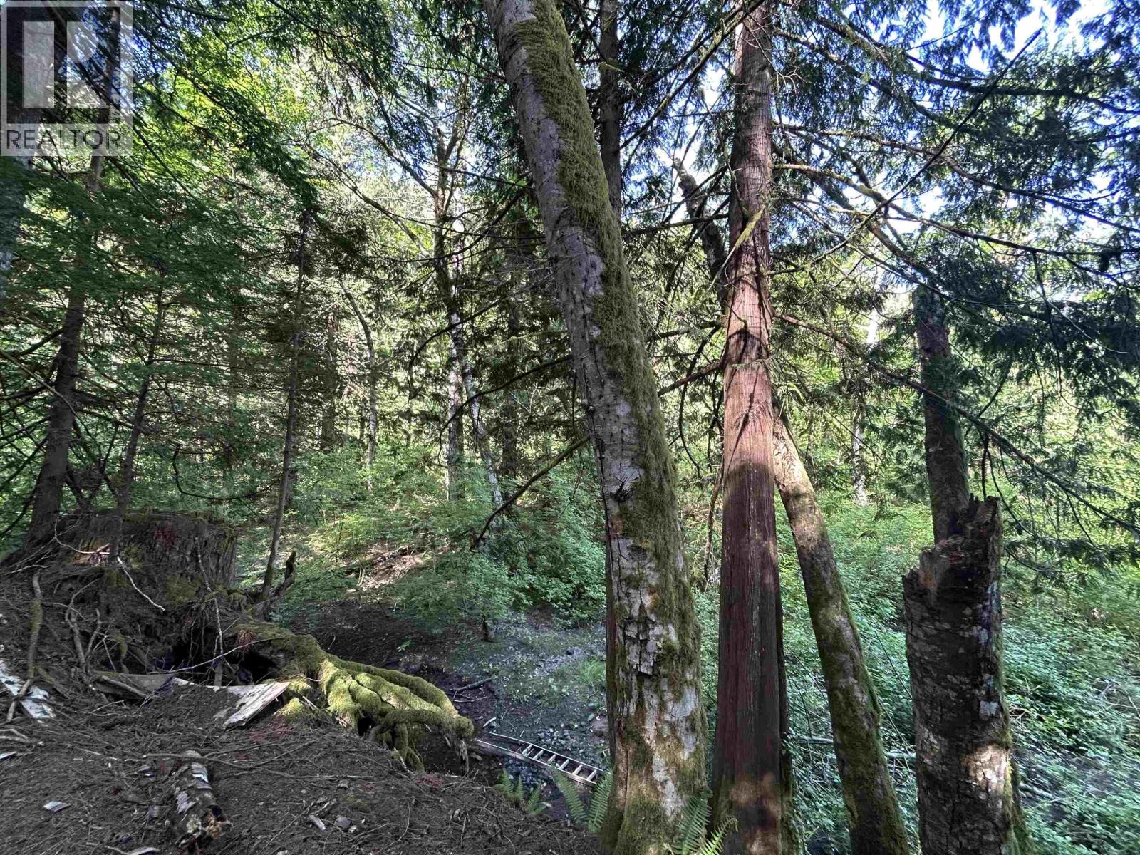 9063 PARADISE VALLEY ROAD, Squamish