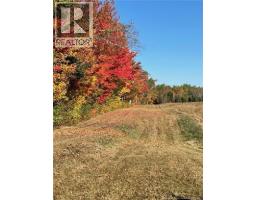 Cottages + Lot Rte 515, Sainte Marie De Kent, NB E4S2G4 Photo 42