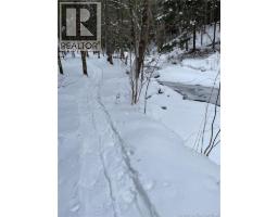 Cottages + Lot Rte 515, Sainte Marie De Kent, NB E4S2G4 Photo 34