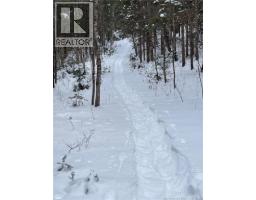 Cottages + Lot Rte 515, Sainte Marie De Kent, NB E4S2G4 Photo 35