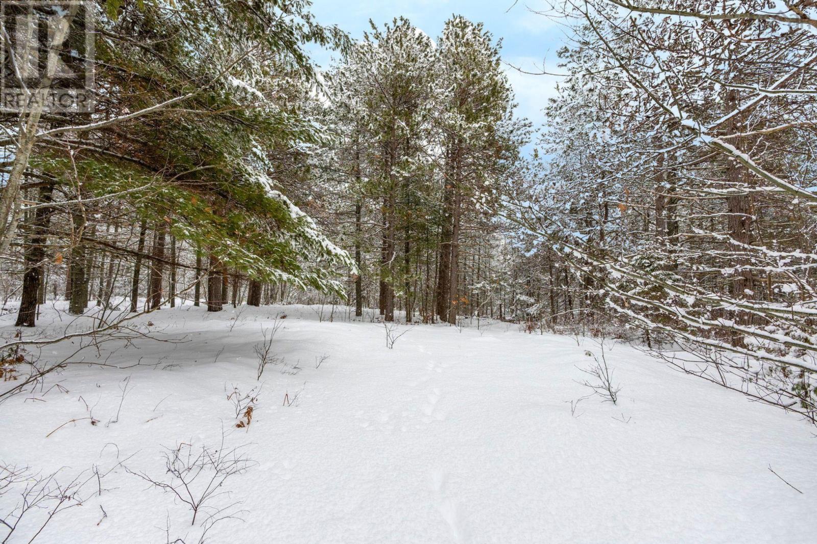 Property 4 of 47 of 2184 Old Mill Road