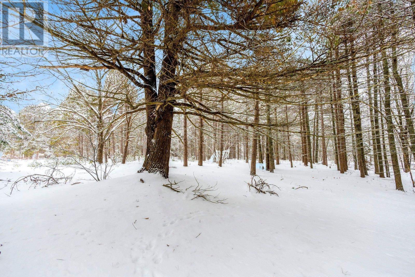 Property 43 of 47 of 2184 Old Mill Road