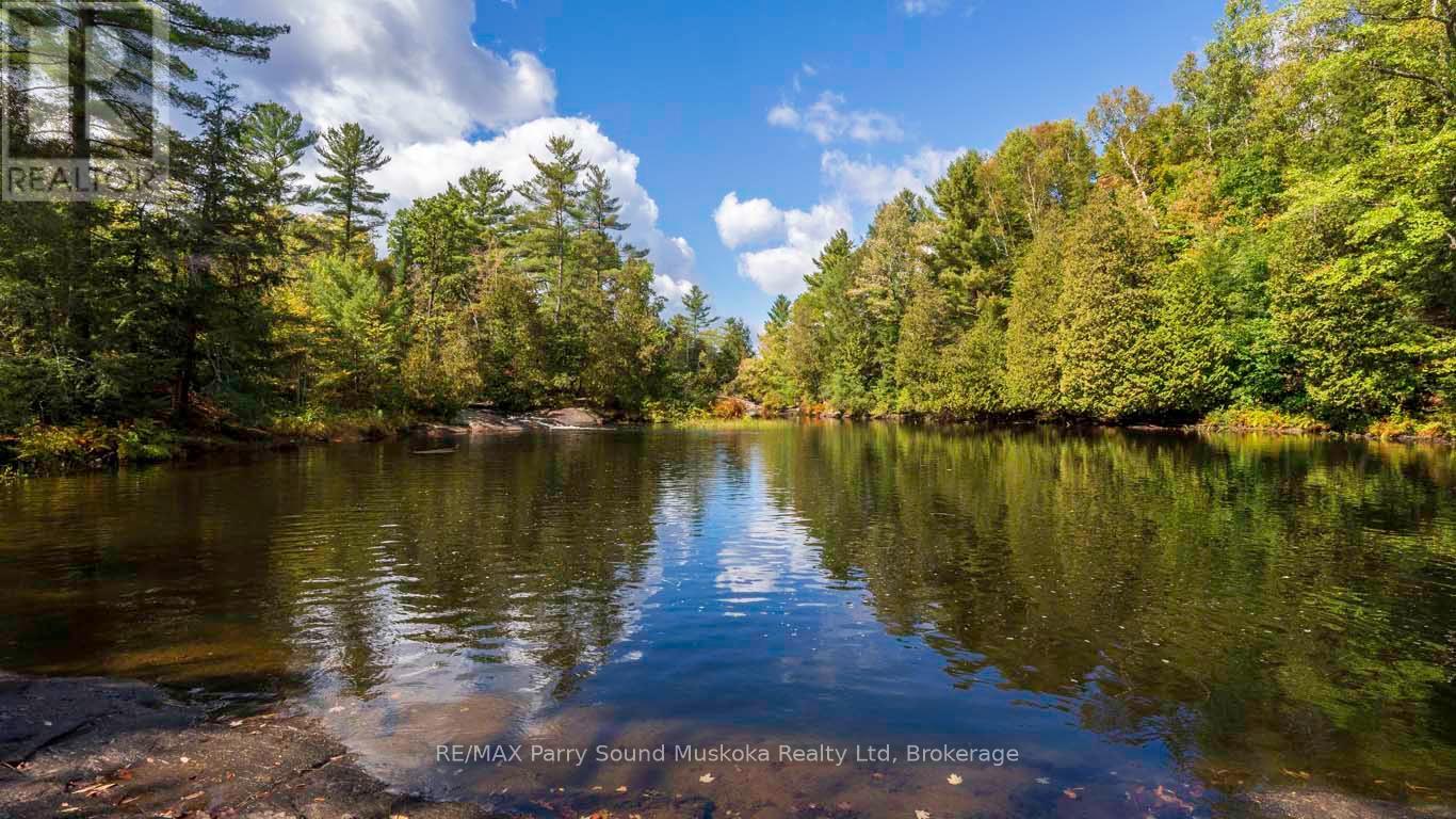Little Seguin River tranquility