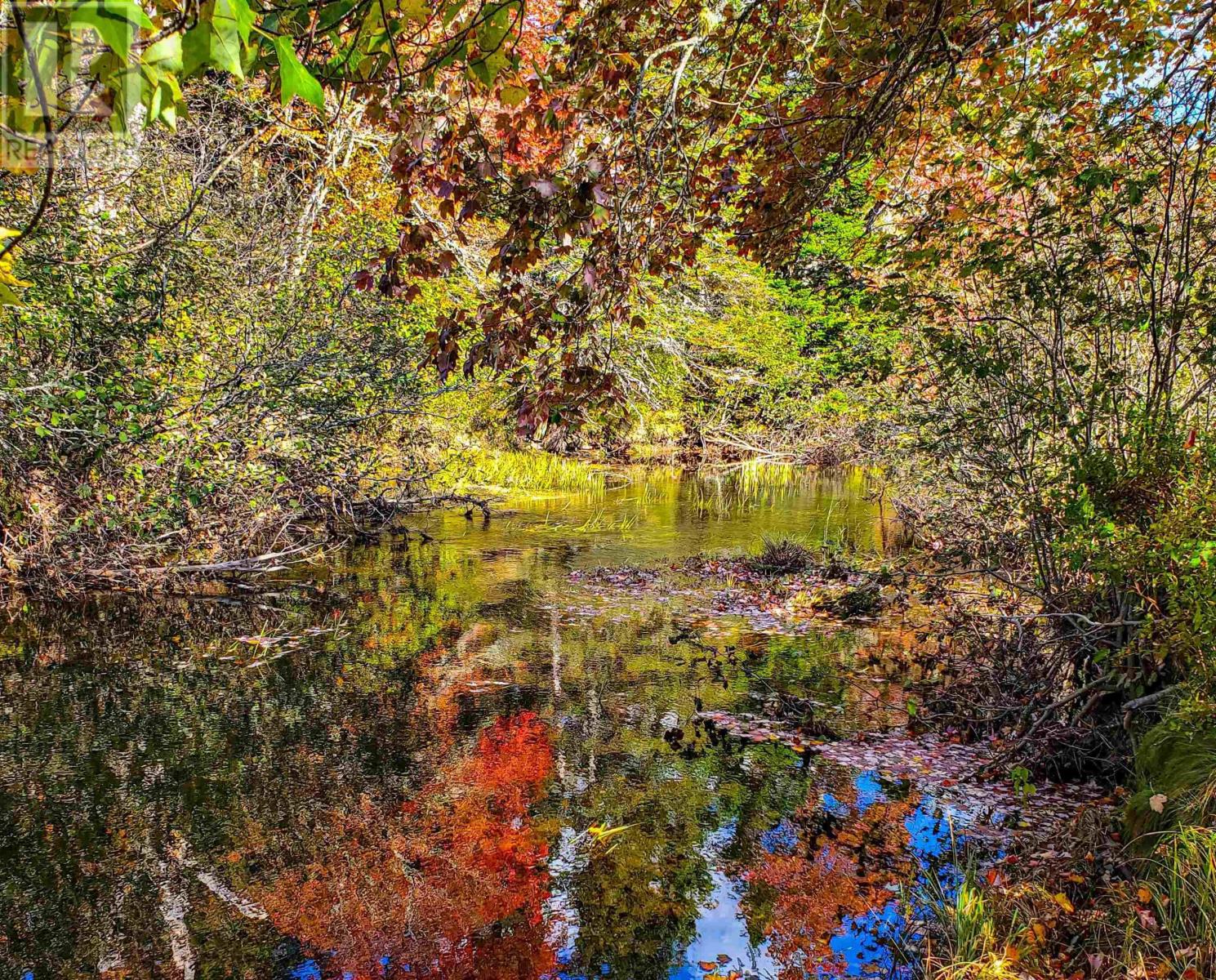 Property 2 of 5 of LOT 22-1 Stewiacke Road