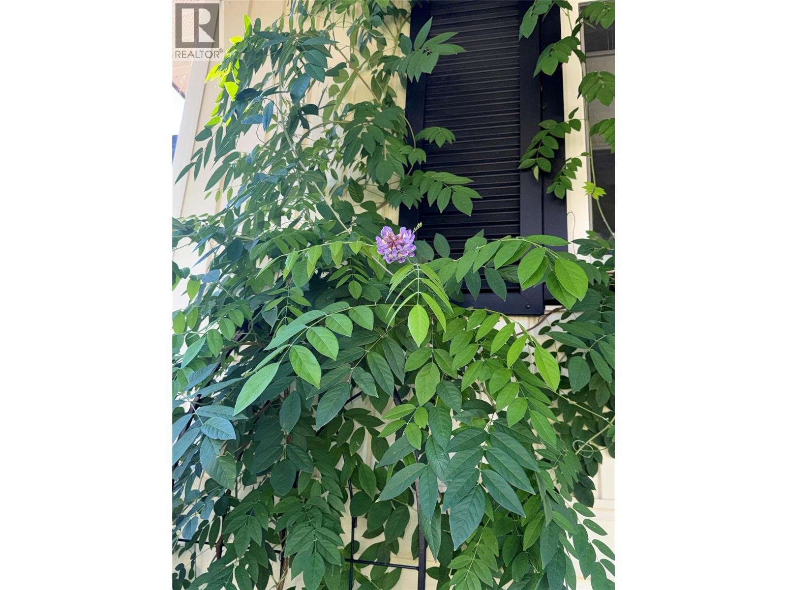 3130 Iris Crescent, Trail