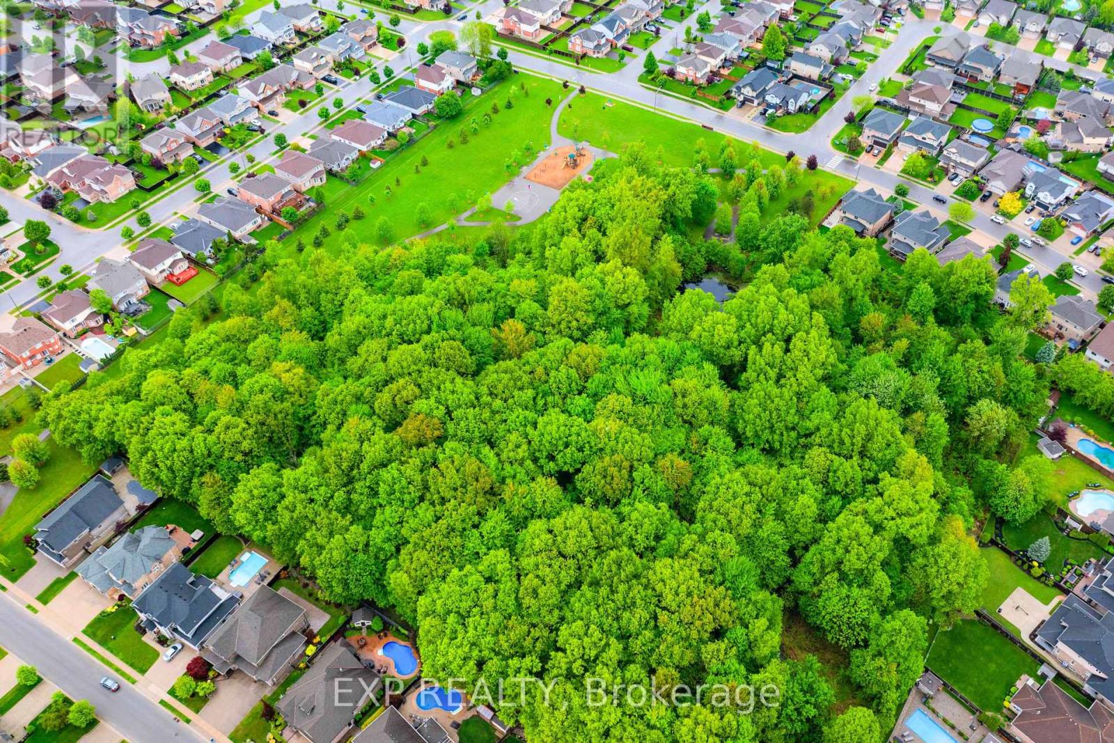 8583 FORESTVIEW BOULEVARD - 35