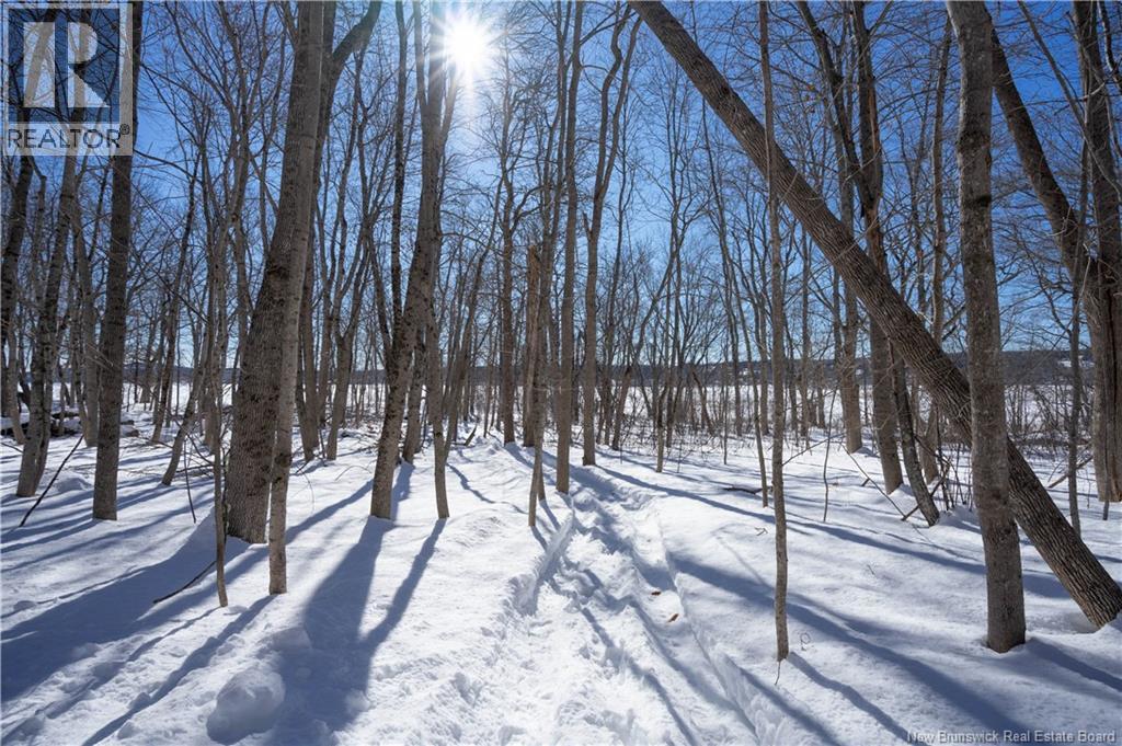 53 WOODMANS POINT ROAD - 40